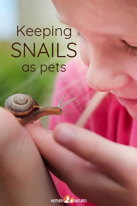 How Long Do Pet Garden Snails Live | Foliar Garden