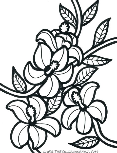 Rainforest Flowers Coloring Pages at GetColorings.com | Free printable colorings pages to print ...