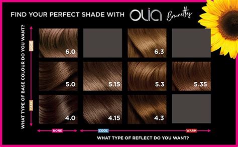 Garnier Olia Permanent Hair Colour, 5.3 Golden Brown: Amazon.co.uk ...