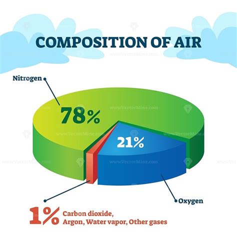 Composition of air vector illustration | Matter science, Life science ...