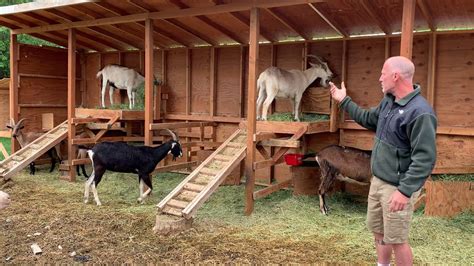 How To Design A Goat Farm - Design Talk