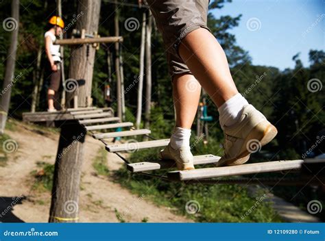 Zip-line gear stock photo. Image of mountaineering, latch - 12109280