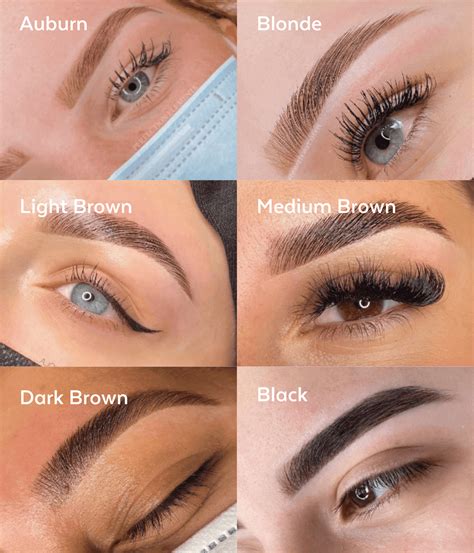 Brow Henna Starter Kit | Supercilium