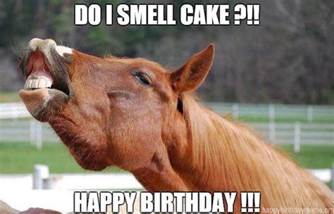 Happy Birthday Horse Meme | Happy birthday funny, Happy birthday horse ...