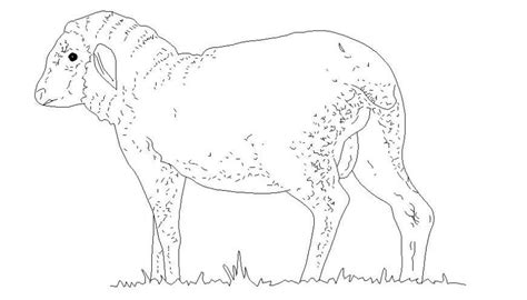 Drawings details of animal units block autocad softwrae file - Cadbull