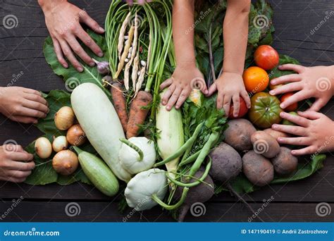 Organic Vegetable, Farmers Harvest. Nature Field Food Stock Image ...