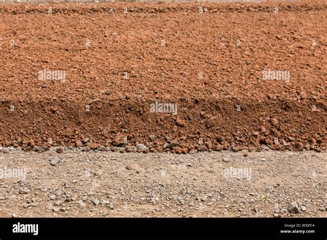 Peat soil hi-res stock photography and images - Alamy