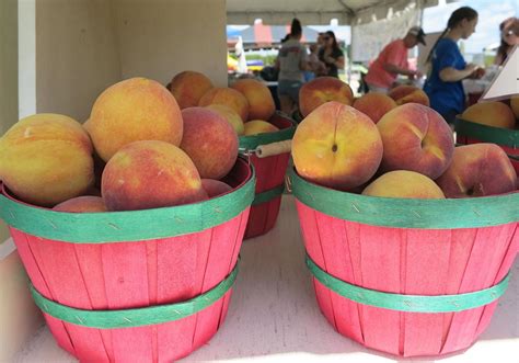 McLeod Farms hosts Peach Festival | Pee Dee Weekly | scnow.com