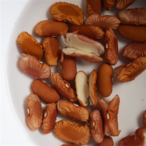 How To Tell If Dried Beans Are Too Old : The rule of thumb is to check the visual signs, smell ...
