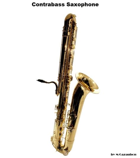 The Contrabass Saxophone