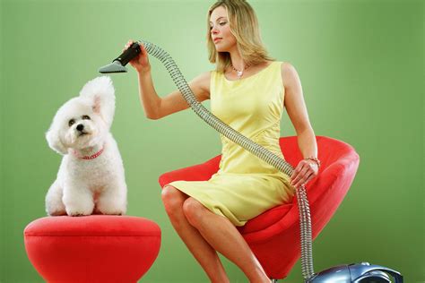 Meet the Super Powerful Cordless Pet Vacuum That's About to Take Over the Market Cordless Pet ...