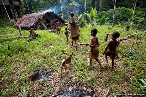Question and answers: Uncontacted tribes of Papua - Survival International
