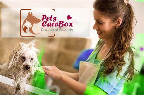Pet Supplies Plus Grooming and Wash Near Me | Pets Care Box