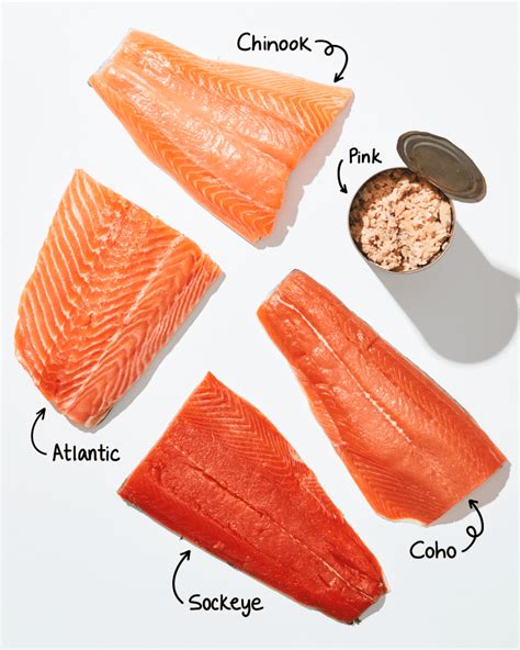 Types of Salmon: A Visual Guide to Wild and Farmed Salmon | The Kitchn