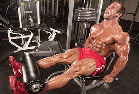 Leg Extension • Bodybuilding Wizard