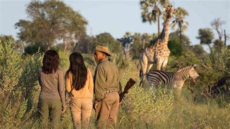 Pin by Nesem Ertan on travel | Okavango delta safari, Botswana travel ...