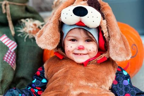 80+ Kid Dog Costume Stock Photos, Pictures & Royalty-Free Images - iStock