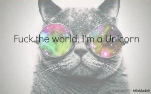 Galaxy Cat Quotes. QuotesGram