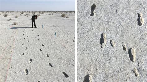 White Sands National Park's fossilized human tracks longest in world