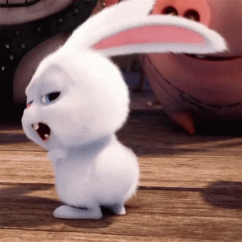 Conejo Bunny GIF - Conejo Bunny Cute - Discover & Share GIFs