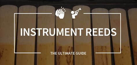 The Ultimate Guide to Clarinet and Saxophone Reeds | Kincaid's is Music