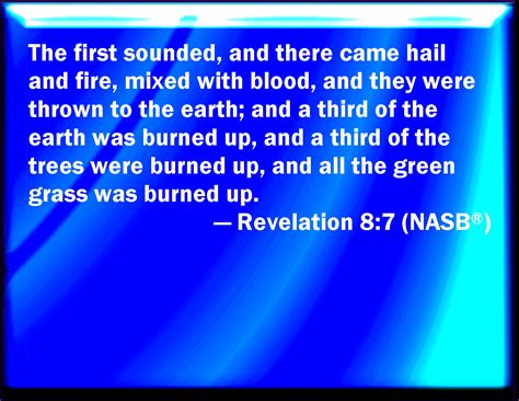 Revelation 8:7 The first angel sounded, and there followed hail and fire mingled with blood, and ...