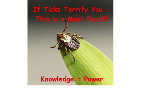 Terrified by Ticks, Tick Bites & Lyme Disease? Get Empowered with ...