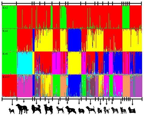 Genetic variations and dog breed identification using inter-simple sequence repeat markers ...