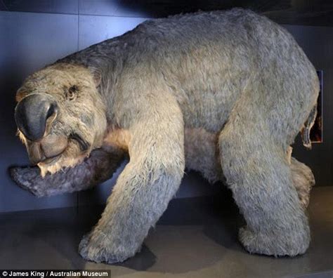 1001Archives: Giant Wombat Fossils found in Australia