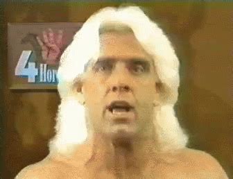 Ric Flair GIF - Ric Flair WWF - Discover & Share GIFs