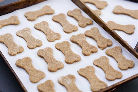 Dog Treats Homemade: Healthy and Delicious Options for Your Furry ...