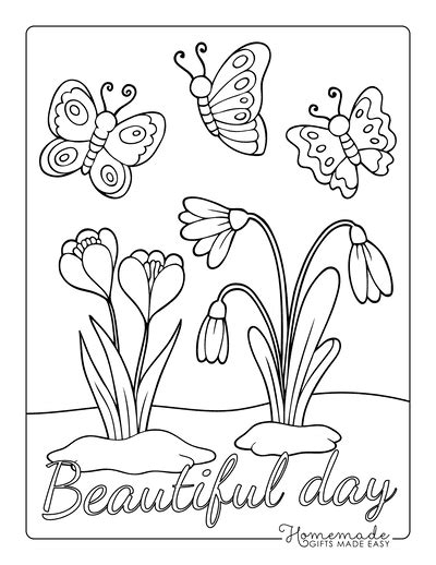 Free Butterfly Coloring Pages for Kids & Adults