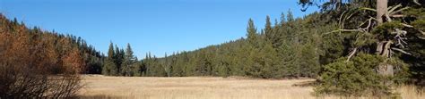 Goose Meadows, Tahoe National Forest - Recreation.gov