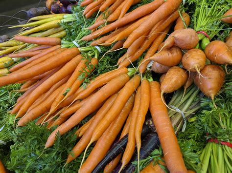 Carrots Free Stock Photo - Public Domain Pictures