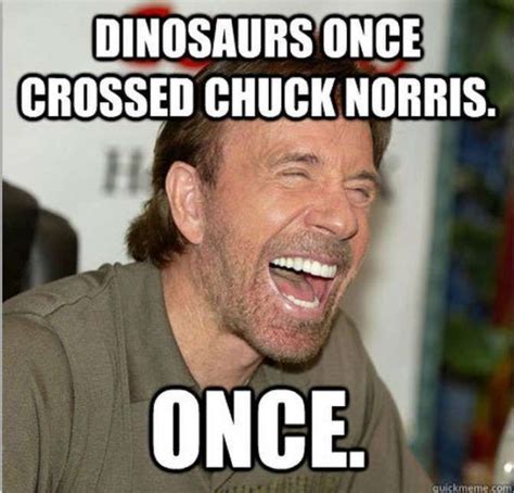 Dinosaurs | Chuck norris jokes, Chuck norris facts, Chuck norris