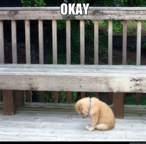 Okay - Sad Puppy - quickmeme
