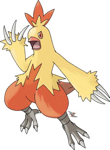 Combusken by Xous54 on DeviantArt