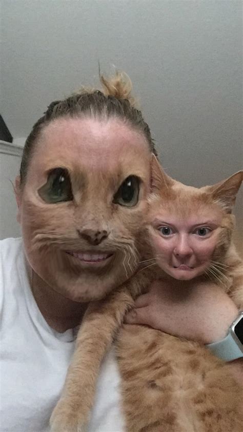 Terrifying face swap with my cat. I honestly don’t know which is more terrifying! : r/funny