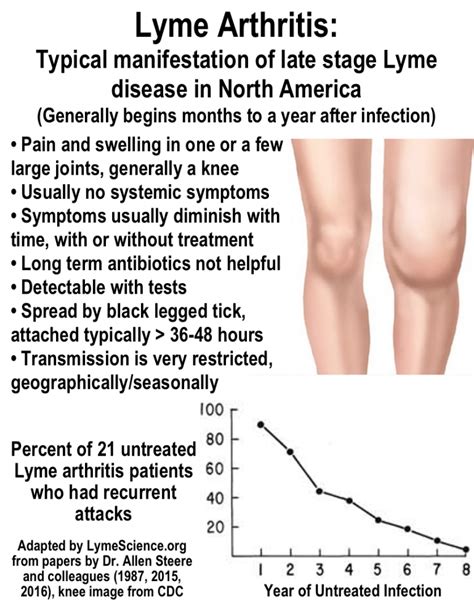 The harms of unnecessary “Lyme anxiety”