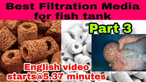 Best filter media for fish tanks - YouTube