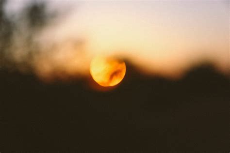 Evening Sun | plaits | Flickr