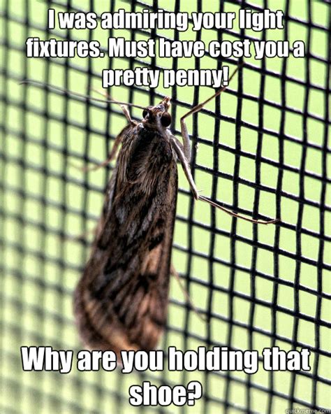 Misunderstood Miller Moth memes | quickmeme