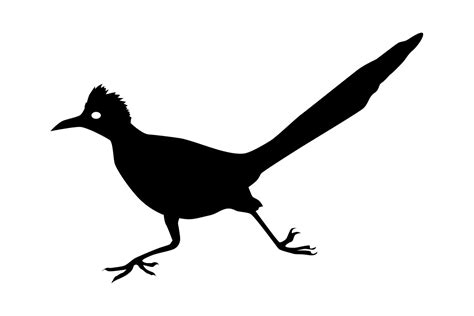 Roadrunner Bird Silhouette Graphic by iDrawSilhouettes · Creative Fabrica