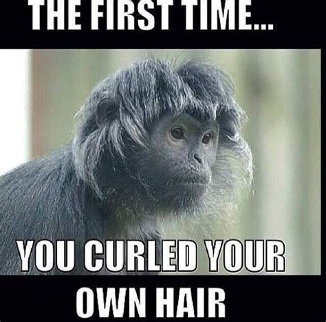 Monkey with a Curly 'Do! | Hair quotes funny, Hair jokes, Hair humor