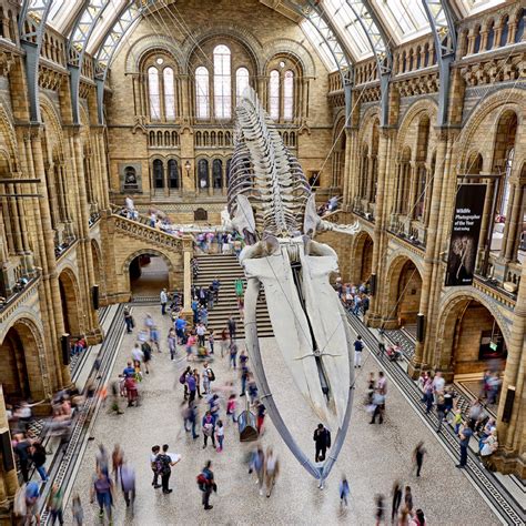 England: Her er fire gratis museer i London for børn