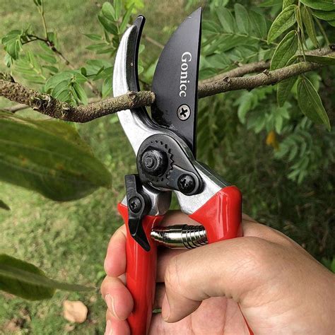 Pruning shears, Garden shears, Garden tools