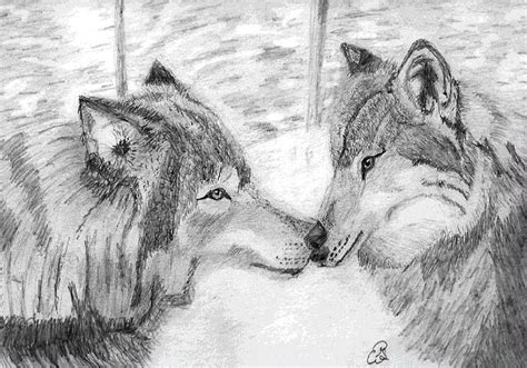 Wolves Love Drawing by Gail Schmiedlin