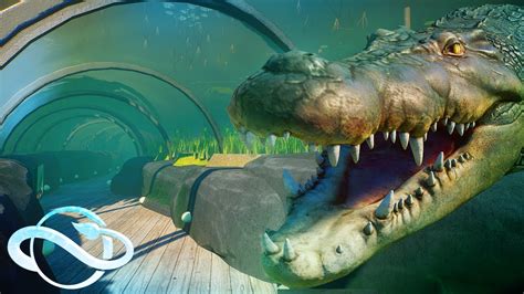 Saltwater Crocodile Habitat With Underwater Tunnel | Planet Zoo Speed Build - Aquatic Pack ...