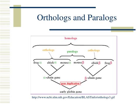 PPT - Tree Pattern Matching in Phylogenetic Trees PowerPoint Presentation - ID:5669925