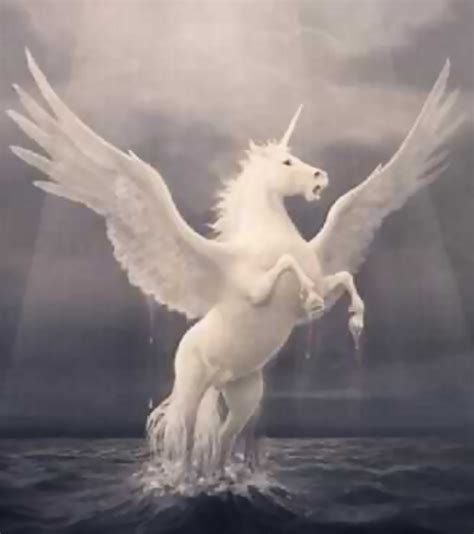 Pegasus - Greek Mythology!